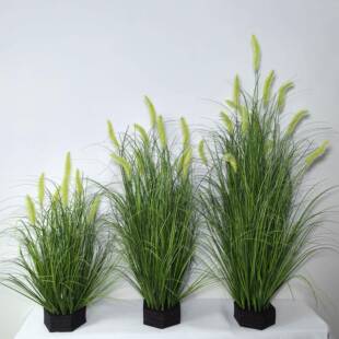 真春色尾巴草狼尾草仿真装饰造花艺软狗装仿ZY66610布置仿真景绿