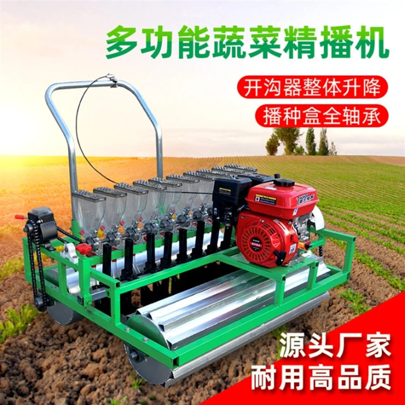 双排25行蔬菜精播机油电两用