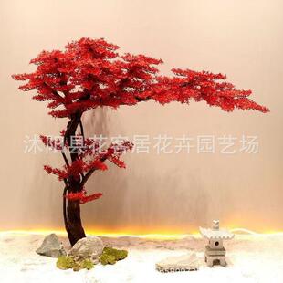 仿树真红枫窗树鸡爪槭枫迎客松型树大型室造内绿植造景橱落地咨询
