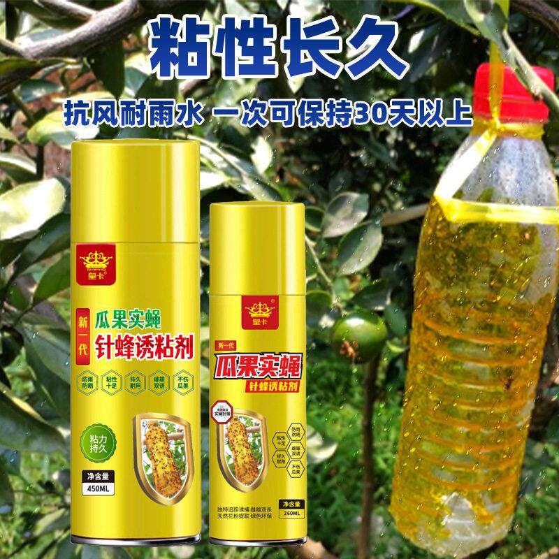【下单立减50】果实蝇诱粘剂 灭果蝇昆虫诱捕器针蜂_ZS1