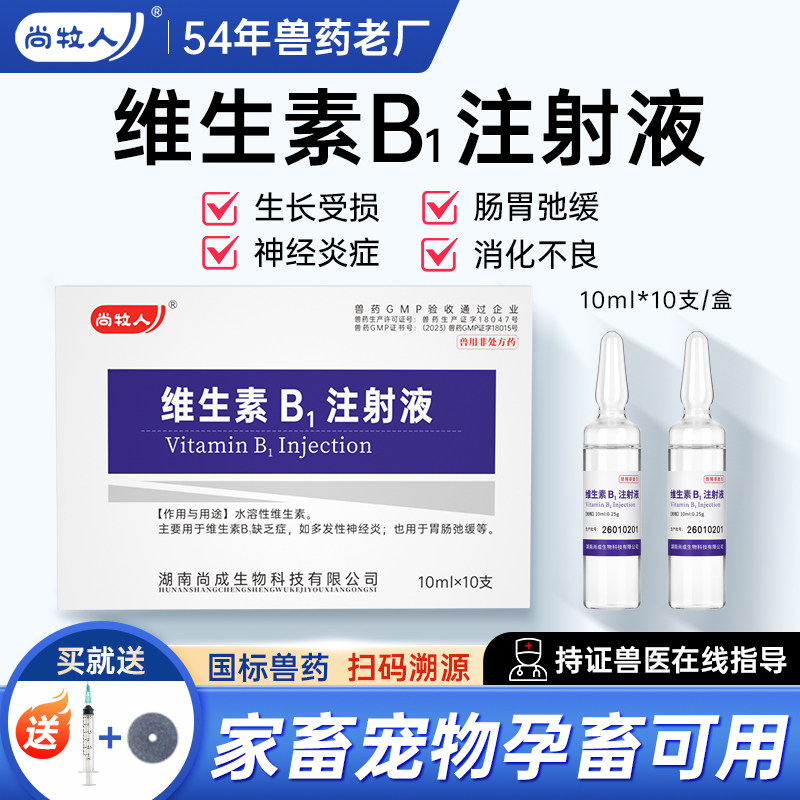 兽药维生素B1注射液牛羊宠物图片