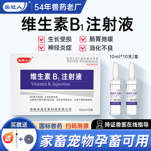 兽药维生素B1注射液猪牛羊宠物猫狗用开胃神经炎促消化正品