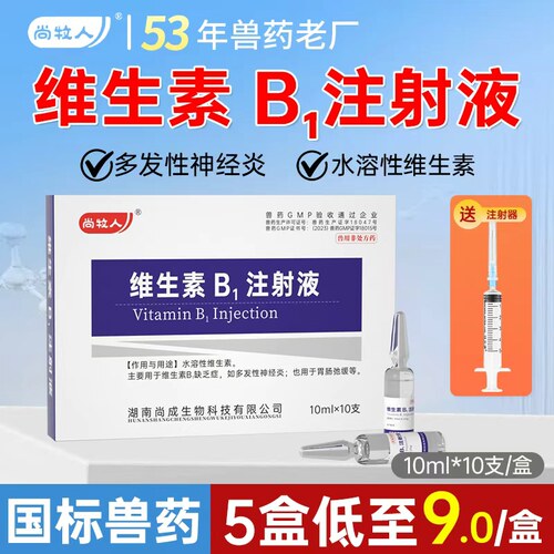 兽药维生素B1注射液牛羊宠物