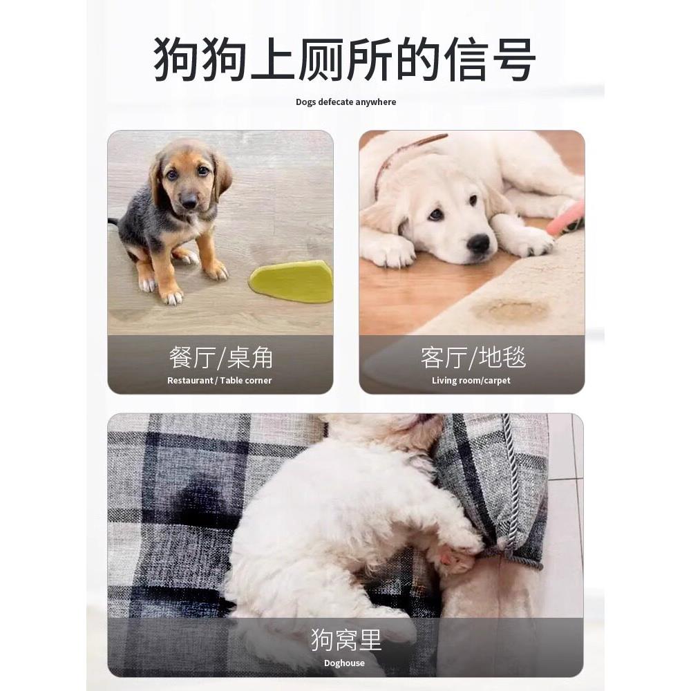 宠物猫新款狗不乱拉猫狗定点排便上厕所诱导剂