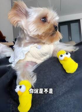 约克夏专用狗狗室内袜子保暖防滑袜脚套小型犬鞋子鞋袜超小体幼犬
