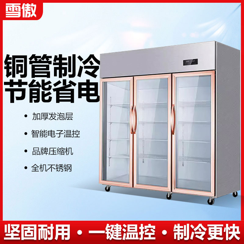 大三门冷藏保鲜展示柜商用冷柜蔬菜串串店大二开双门点菜柜不锈钢