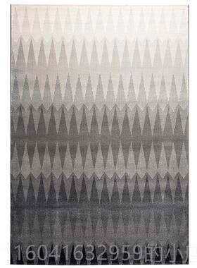 新款Dami进口客厅卧室式地毯灰色美轻奢北欧现代简约高m端房间 床