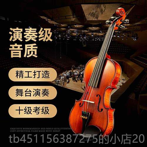 正品翼辉木进口实小提琴初学专者工业级儿童成手人乐团检定考试演