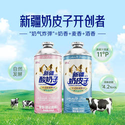 北牧元新疆奶皮子酸奶子精酿啤酒750ml 原麦汁浓度11°P