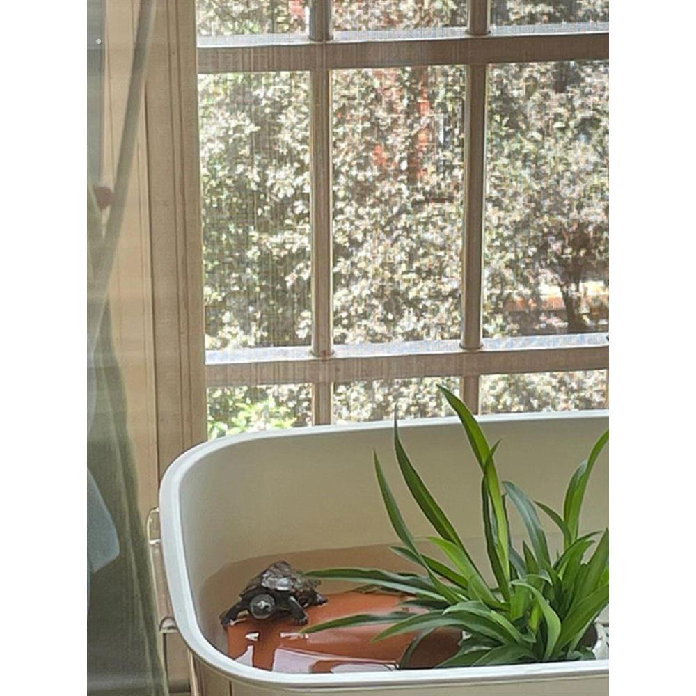 乌龟饲养缸盆沥水篮躲避屋家用桌面小型巴西龟晒台鱼缸换水方便