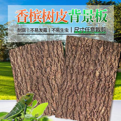 日本鱼缸背景板真树皮软木香槟树皮爬宠造景绿植墙装饰水族贴墙种
