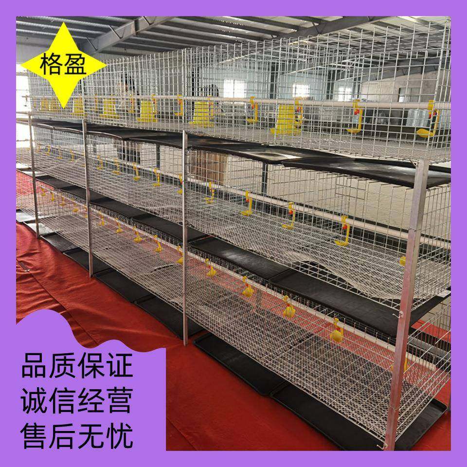 育雏鸡笼四层立体式小鸡笼高密度镀锌防锈防跑鸡养殖设备鸡舍,畜牧/养殖物资,特种养殖设备,淘宝优惠券,粉丝福利购,淘宝优惠卷