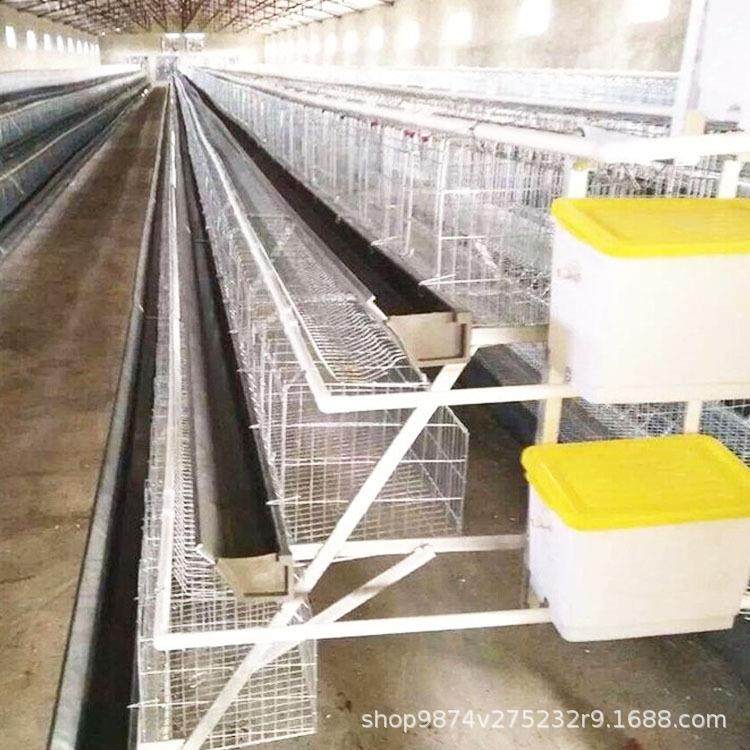 阶梯式养殖笼宏伟自动化养殖机械热镀锌鸡笼蛋鸡笼养设备,畜牧/养殖物资,特种养殖设备,淘宝优惠券,粉丝福利购,淘宝优惠卷