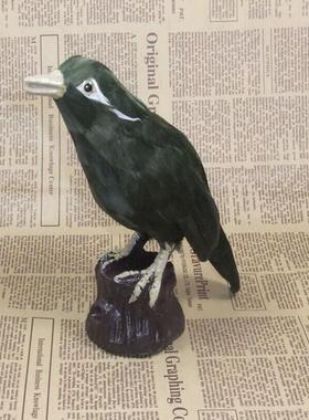 仿真羽毛动物 仿真八哥鸟 家居摆件 手工艺品