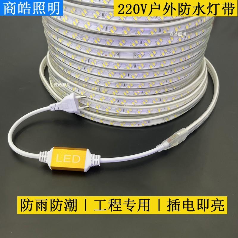 LED包胶灯带220V防水灯带桥梁工程楼宇轮廓装饰灯带外墙灯条户外