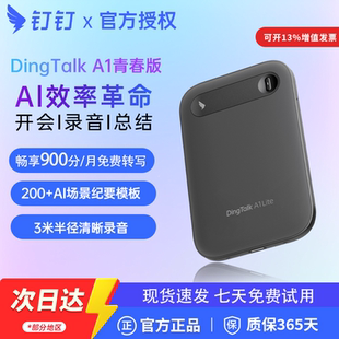 钉钉A1 DingTalk A1青春款智能录音笔会议纪要分析总结实时转写