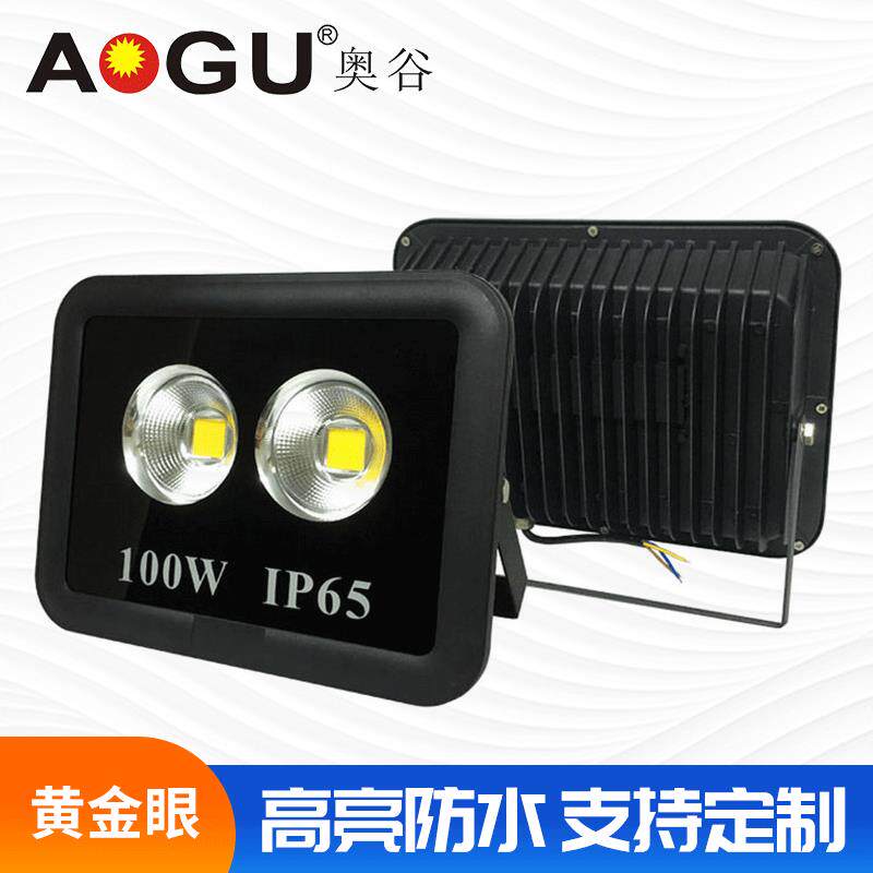 新款LED黄金眼投光灯户外防水聚光广告灯泛光灯100W补光灯