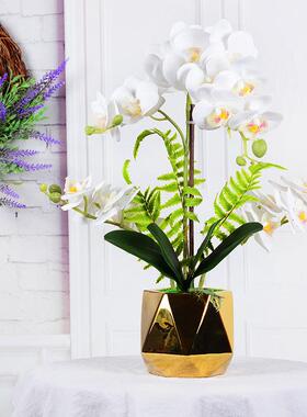 家居装客饰厅摆件真仿花蝴蝶兰盆栽套装花艺感仿手RYM真植物假花