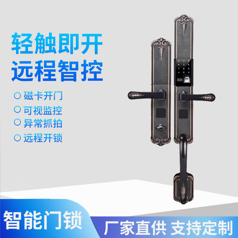 欧式别墅入户指纹密码智能锁