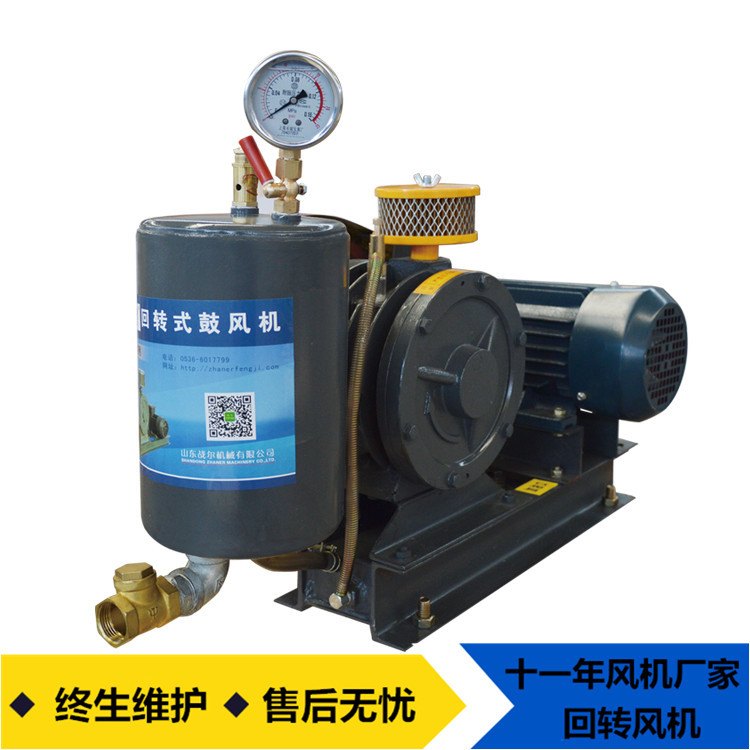 低噪音回转式鼓风机HC型号厂家