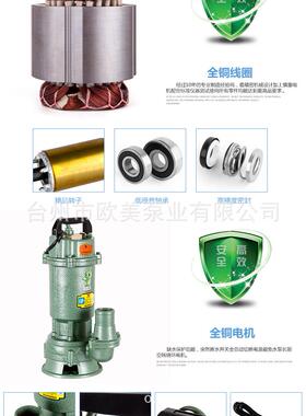 化粪V池沼池养殖排污工8地清淤MEC污水泵工程抽水机22030V2寸3气