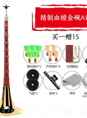 新款乌木黑檀木唢呐乐器全套调CFGD初学者专业儿老童大E小号红木