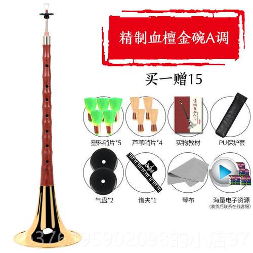 新款乌木黑檀木唢呐乐器全套调CFGD初学者专业儿老童大E小号红木
