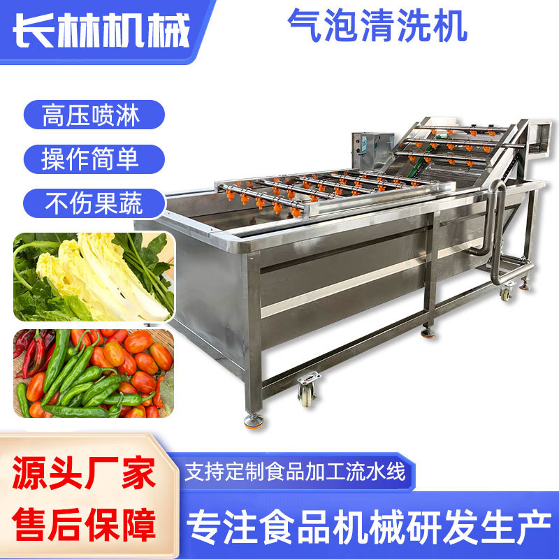 商用全自动不锈钢蔬菜气泡清洗机