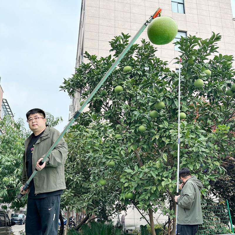 摘头果树高枝弯剪WXY高空延长摘粗枝剪采园林修剪果粗枝两用修枝