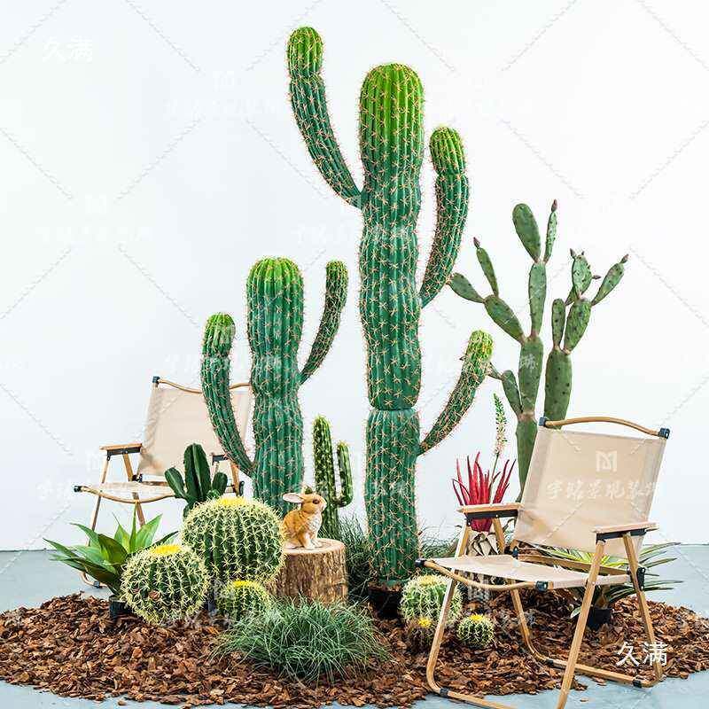 仿大型人掌仙人球真创装意绿植组合热带植物饰仙楼梯角落tlznu+lz