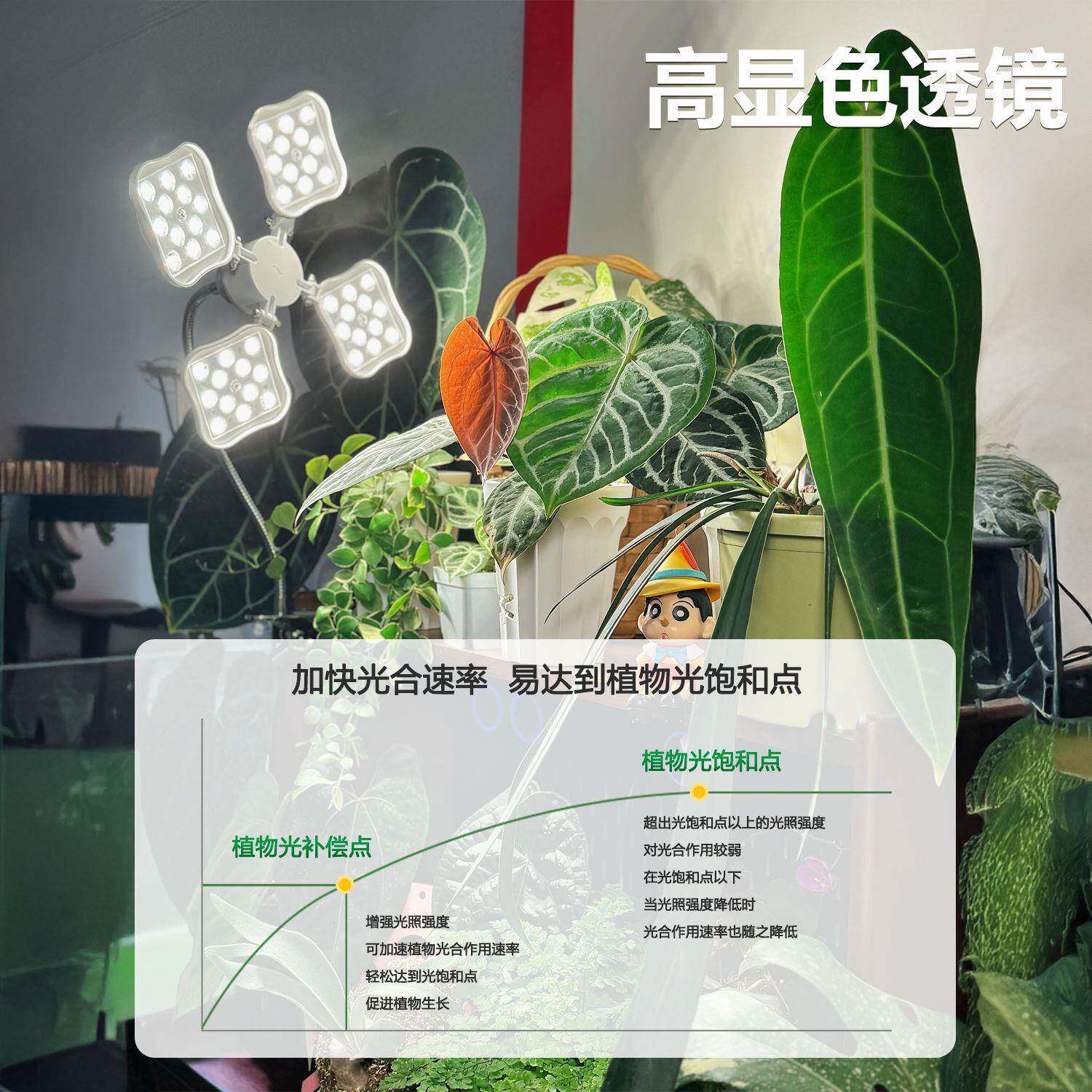 室内植物补光灯仿太阳全谱绿定植花卉植长光物生灯夹子四XDY叶草