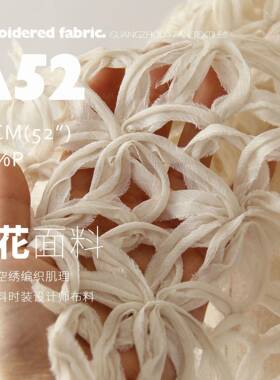 藤曼杏仁白空编织肌理绣花面料料时装设镂计师绣布AHEB52