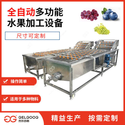 全自动葡萄干清洗机械 葡萄自动清洗风干生产线设备 葡萄清洗机