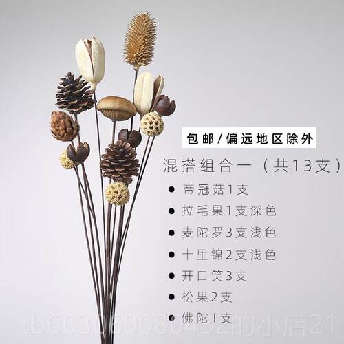 新款客厅落地天玉兰支干 干燥树枝干干燥花花束干干 干树枝树装饰