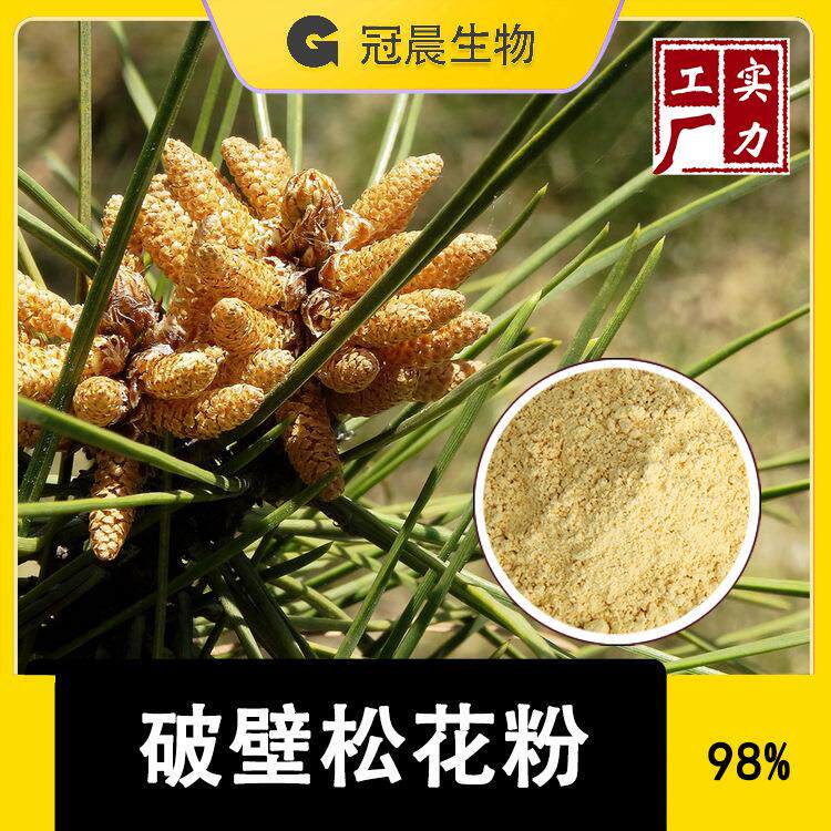 破壁松花粉 云南马尾松 松黄 新货头道散装原料 松树松花孢子