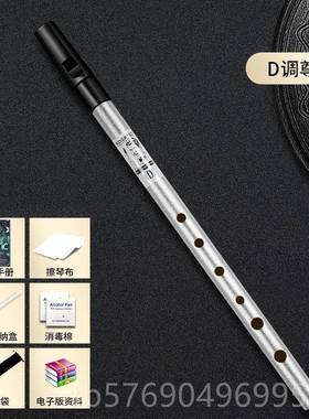 新款wner/ten尔兰哨笛锡笛初学入门六孔竖笛CiD爱调高音直笛子金