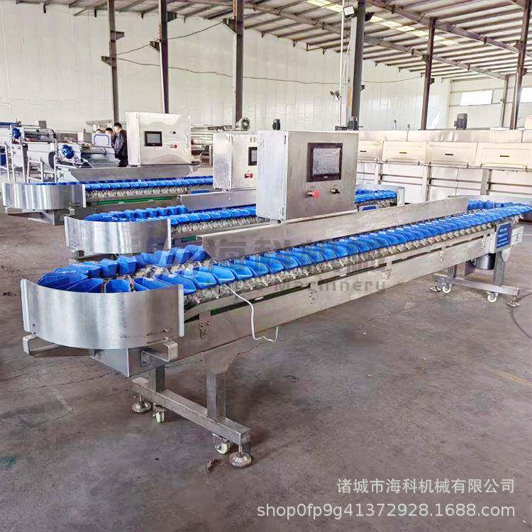 果机蔬分级凤梨火龙GIR果芒果石哈密机瓜重量分选杨桃人参果榴选