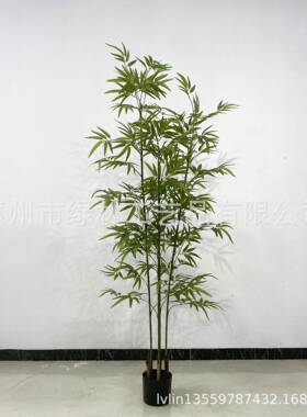 厅竹仿Llin003真拆装竹子室内屏风盆景植细水毛绿客装饰竹叶植物