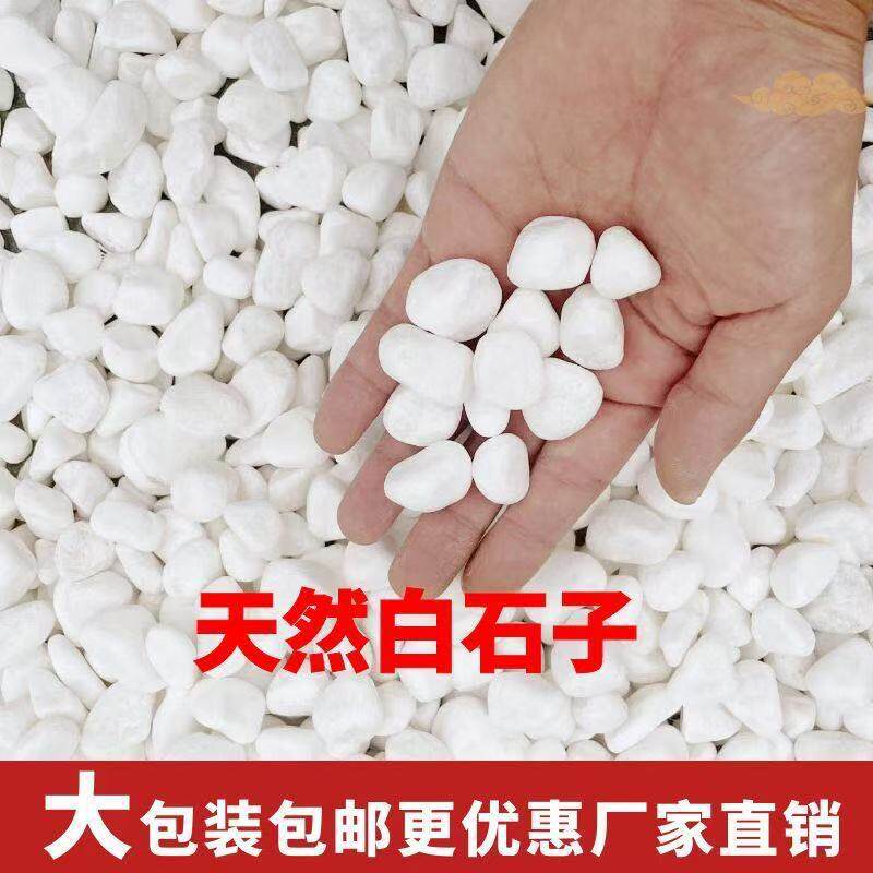 40天然白石造景庭院景观铺路花盆景石子鱼缸烟灰缸多肉鹅卵石
