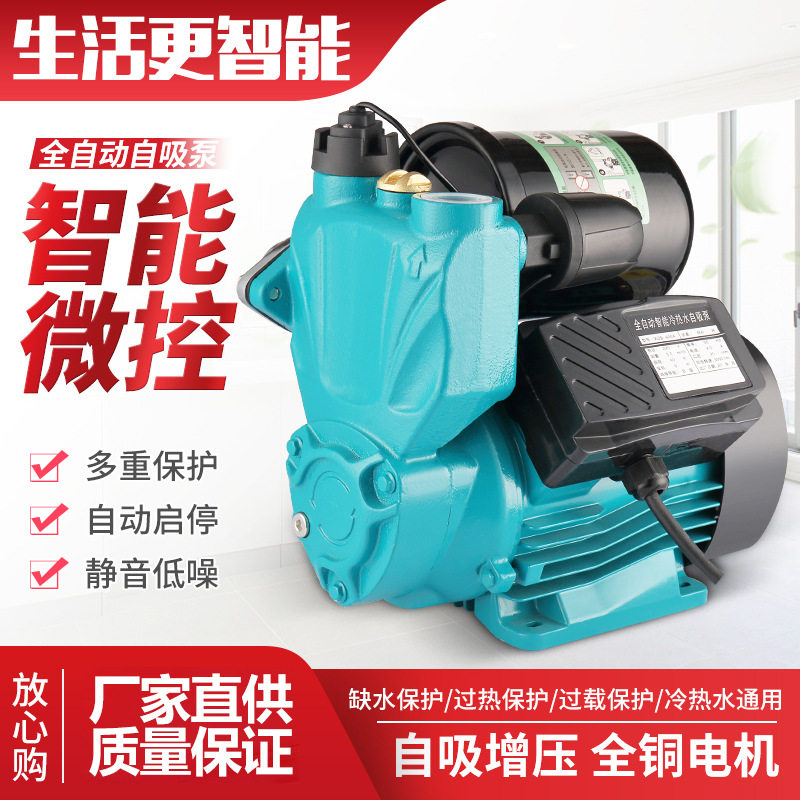 智能全自动220V增压泵冷热两用