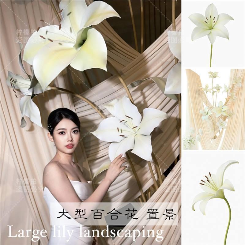 型百合花梦QVQ婚求婚场地装饰布置拍照大打礼卡道具幻摄影店铺陈
