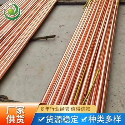 雷不防锈铜离子接TJL地极防铜雷接地棒铜包钢接地极55棒离子接地