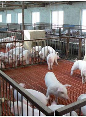 璃钢排格水栅耐磨耐RNQ腐养殖地玻格厂栅漏粪板电镀石油格栅