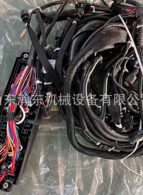 挖掘R2220C-GTH9S全车线束1Q6机-18L100