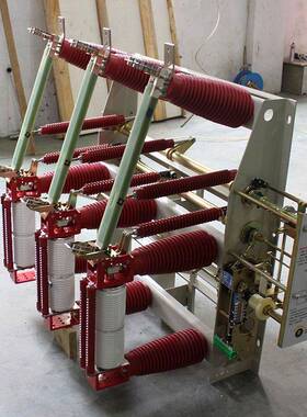 豫峥FZRN21-640.5D/30-25JUE户内组高压真负荷开关24空熔断器合电