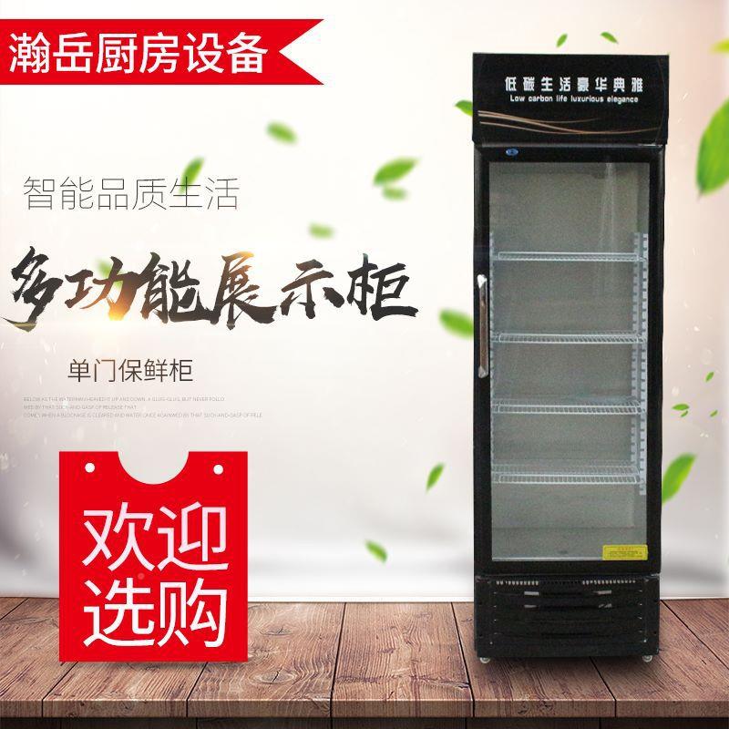 啤展示柜冷藏鲜立式商用冰箱730保单酒双门柜饮料柜冰柜