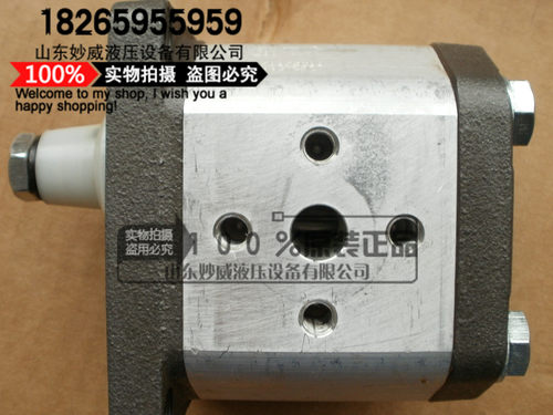 ATOS齿轮泵PFG-211-D/RO现货