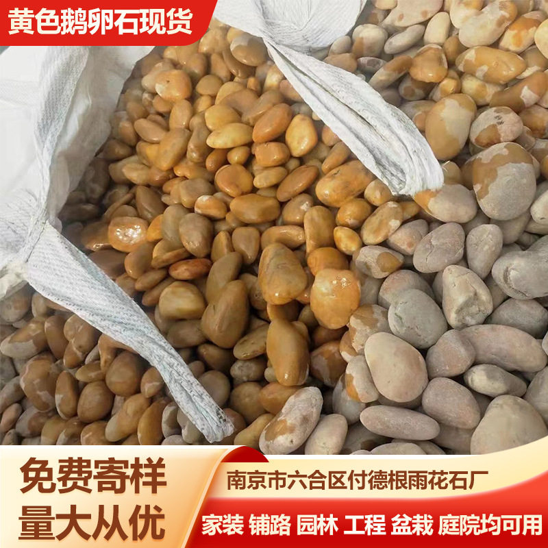 黄色鹅卵石园林造景铺路批发