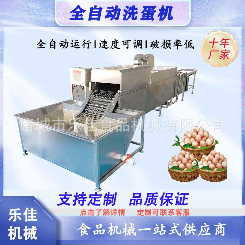 全自动双排蛋类去泥清洗机