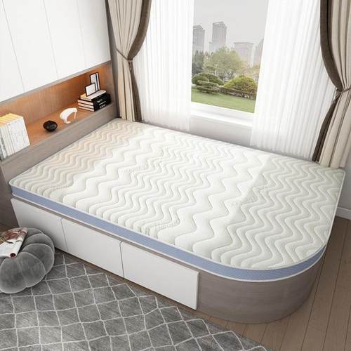 款垫子家WOD软垫简约榻床榻米垫尺寸可折用叠椰棕乳胶儿童垫子现